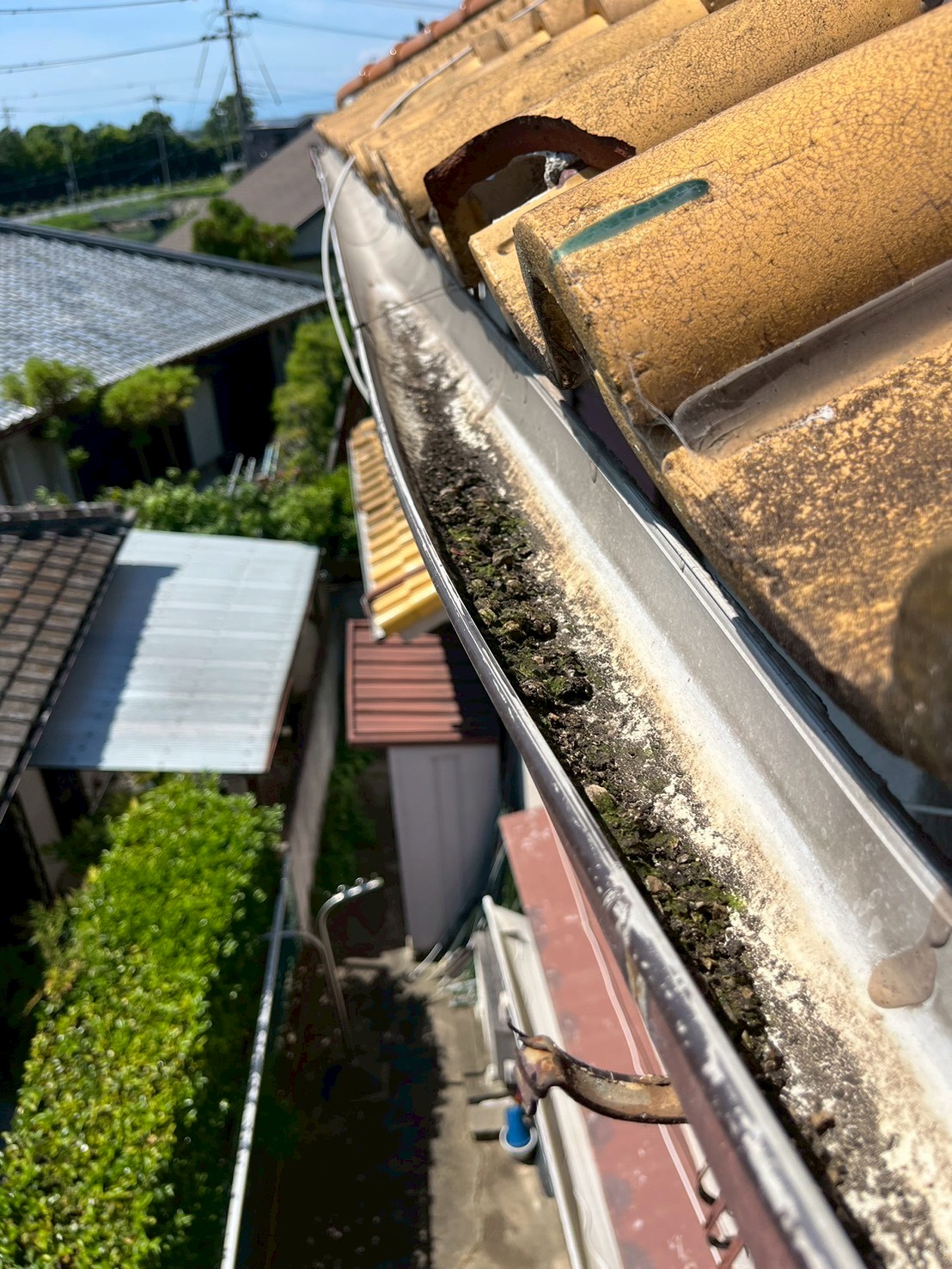 雨樋の掃除方法